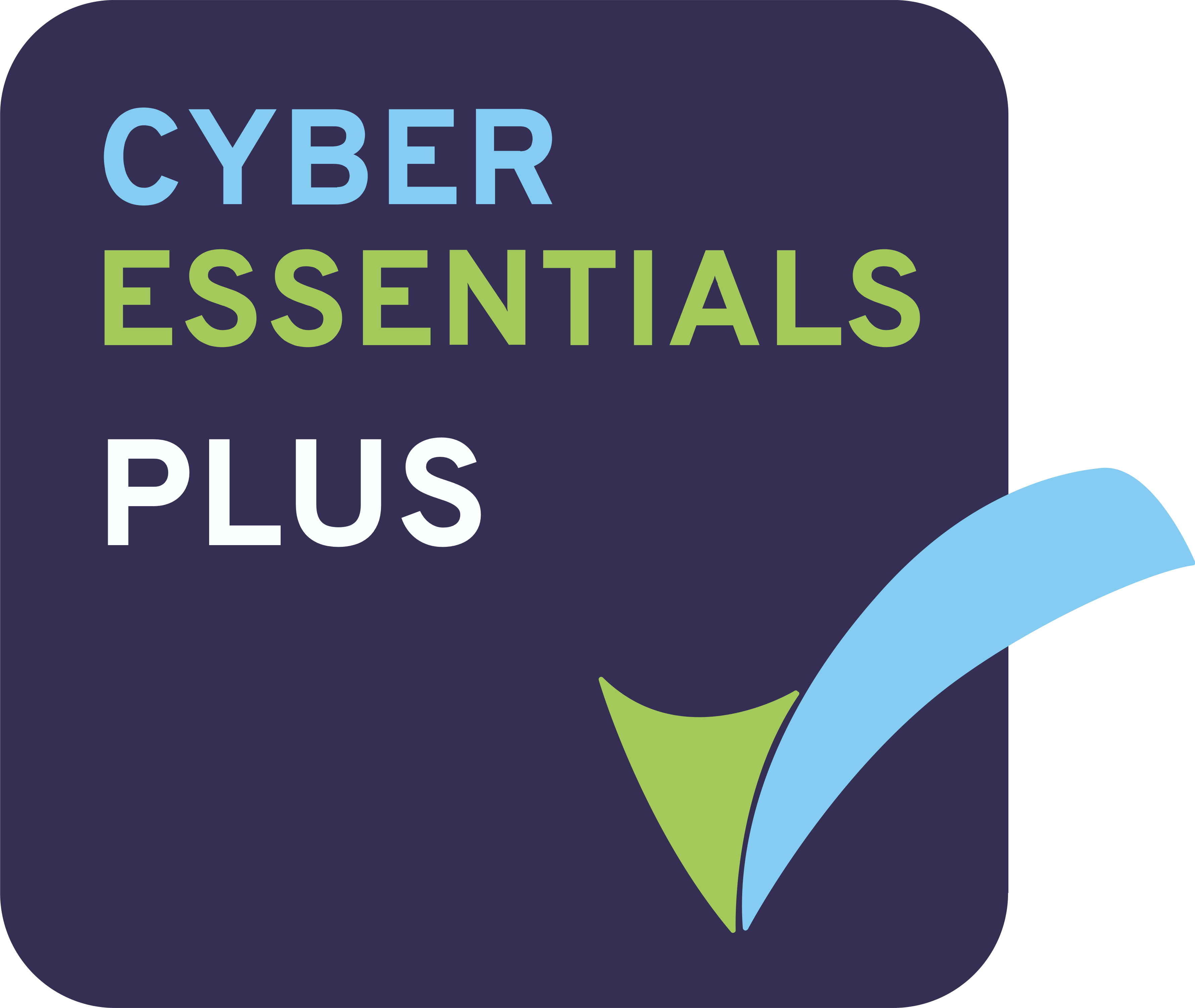 Cyber essentioals plus logo